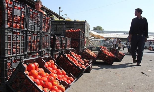 پایان حماسه سرایی از گوجه فرنگی در کهگیلویه و بویراحمد؛ روایتی از حذف تعرفه صادرات